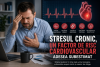 Imagine ilustrând impactul stresului cronic asupra sănătății cardiovasculare, prin sugerarea legăturii dintre presiunea psihoemoțională susținută și modificările fiziologice care afectează inima.